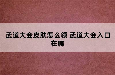 武道大会皮肤怎么领 武道大会入口在哪